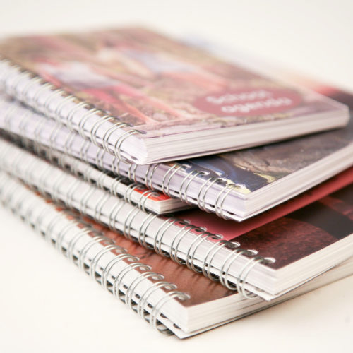 Alles liggend 2 Wire-o boek