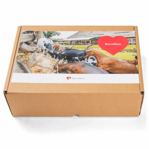 Huize_Odoorn_borrelbox_2119