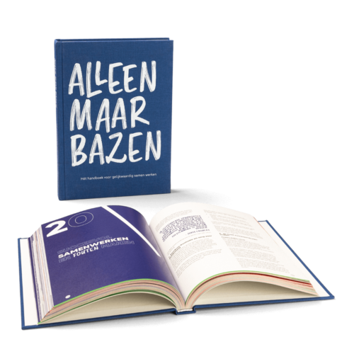 bazen_boek_7168_7169