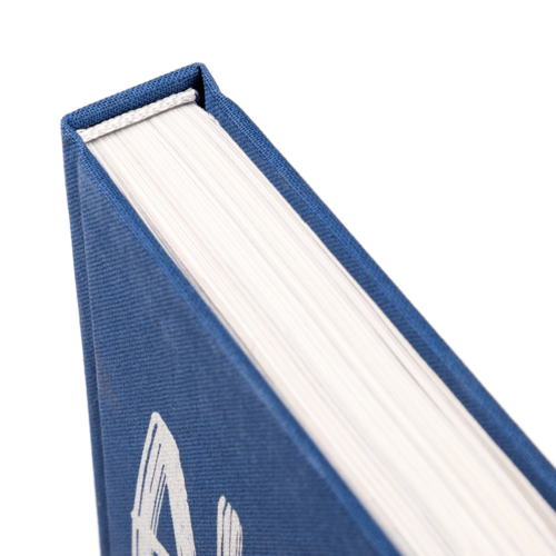 bazen_boek_detail_7171